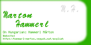 marton hammerl business card